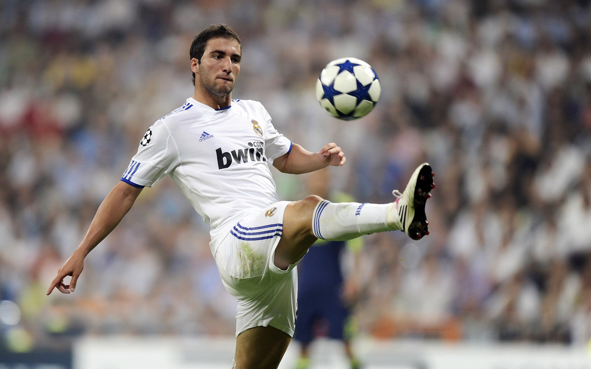 中国足球青训营招生规模不断扩大，中国足球青训补偿及培训费